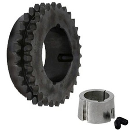 Martin Roller Chain Sprocket, 50-2 Chain, 30 Teeth, 2 Row of Teeth D50BTB30